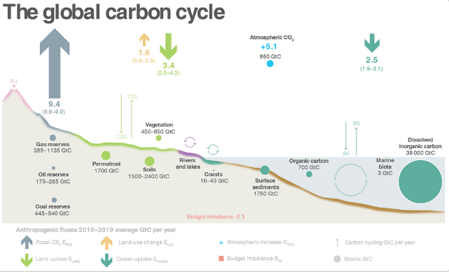 Global Carbon